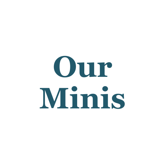 seal with the words 'Our Minis'